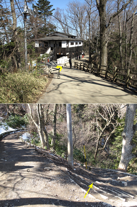 20160226hike (128)
